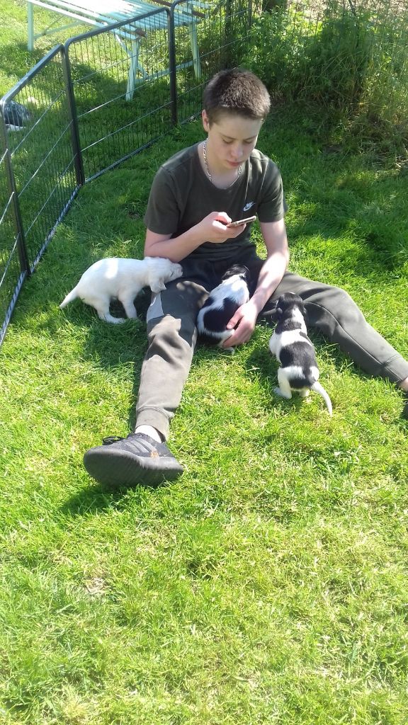 2020 CHIOTS HARIBO X OLIA mai